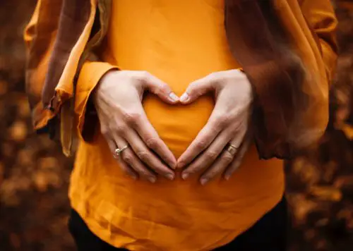 pregnant mom in autumn colors