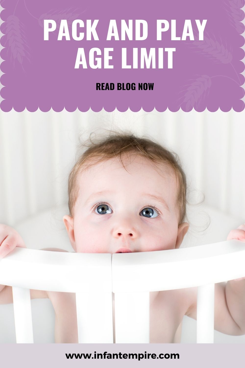 Pack and Play Age Limit Infant Empire