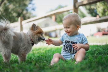 Dog Biting Baby