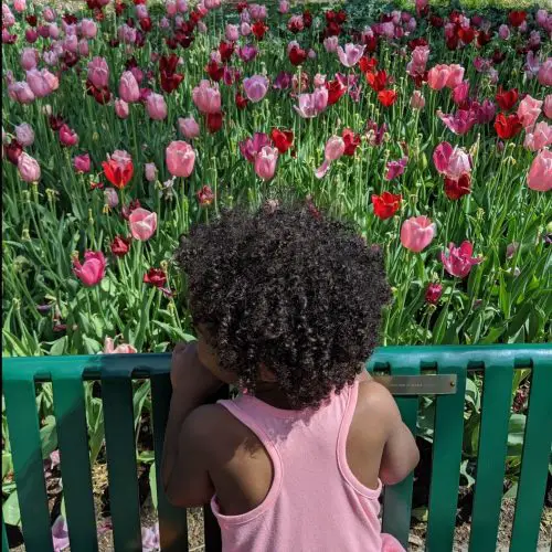 child overlooking garden