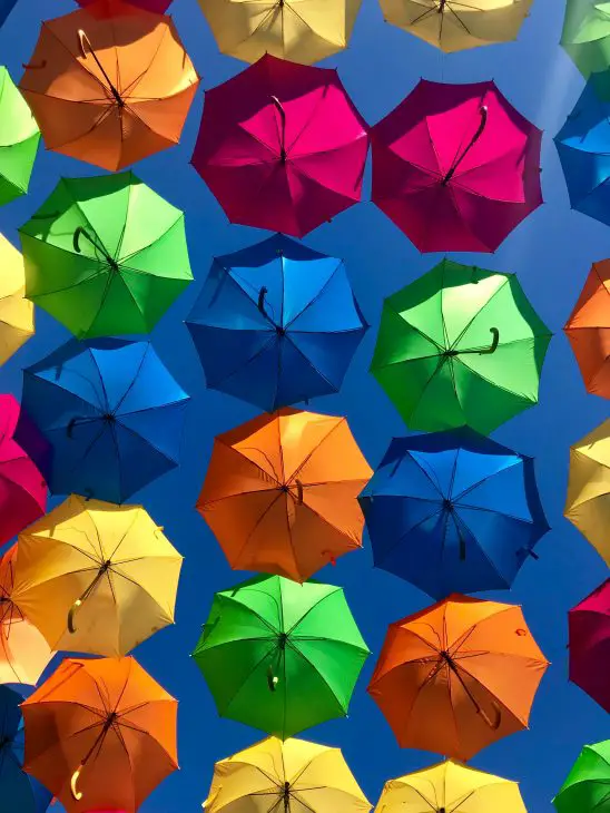 assorted-colored umbrellas