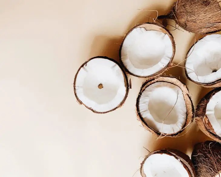 coconuts on white surface