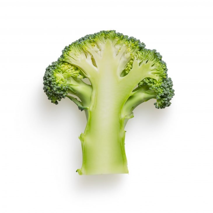 slice of broccoli