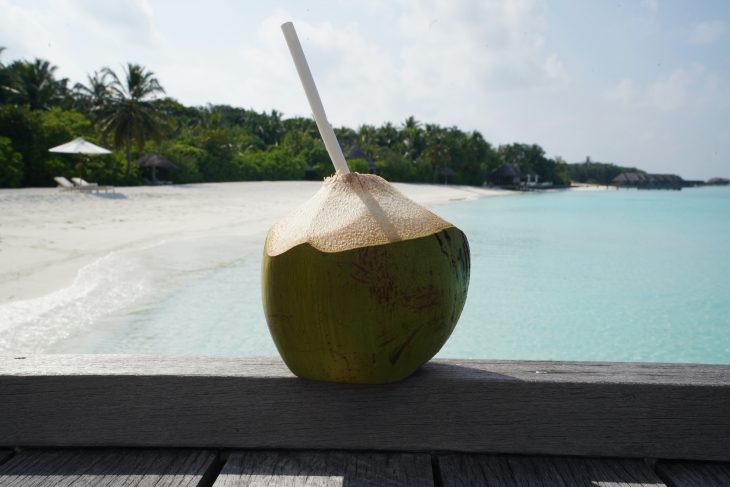 coconut water for pregnant women